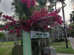 -东湖公园