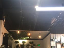 -魔型社