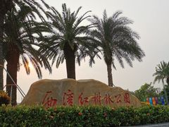 景点-宝安西湾红树林湿地公园