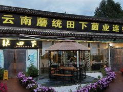 -蘑统田下·野生菌火锅