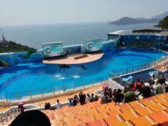 -湾景餐厅(海洋公园店)