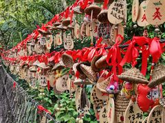 -呀诺达热带雨林