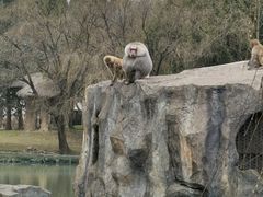 -宁波野生动物园