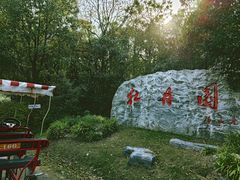 -上海海湾国家森林公园