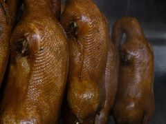 -春梅里卤鹅馆·47年老字号(中山路店)