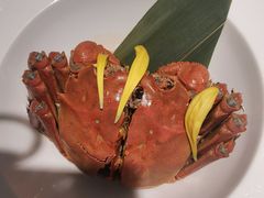 -米桃-吴韵风雅·拙园(北外滩来福士店)