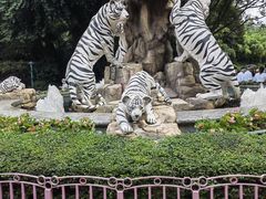 -广州长隆欢乐世界