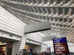 -升恒昌免税商店(桃园国际机场店)