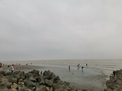 -南汇嘴观海公园