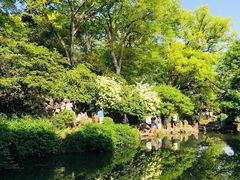 -惠山古镇·寄畅园