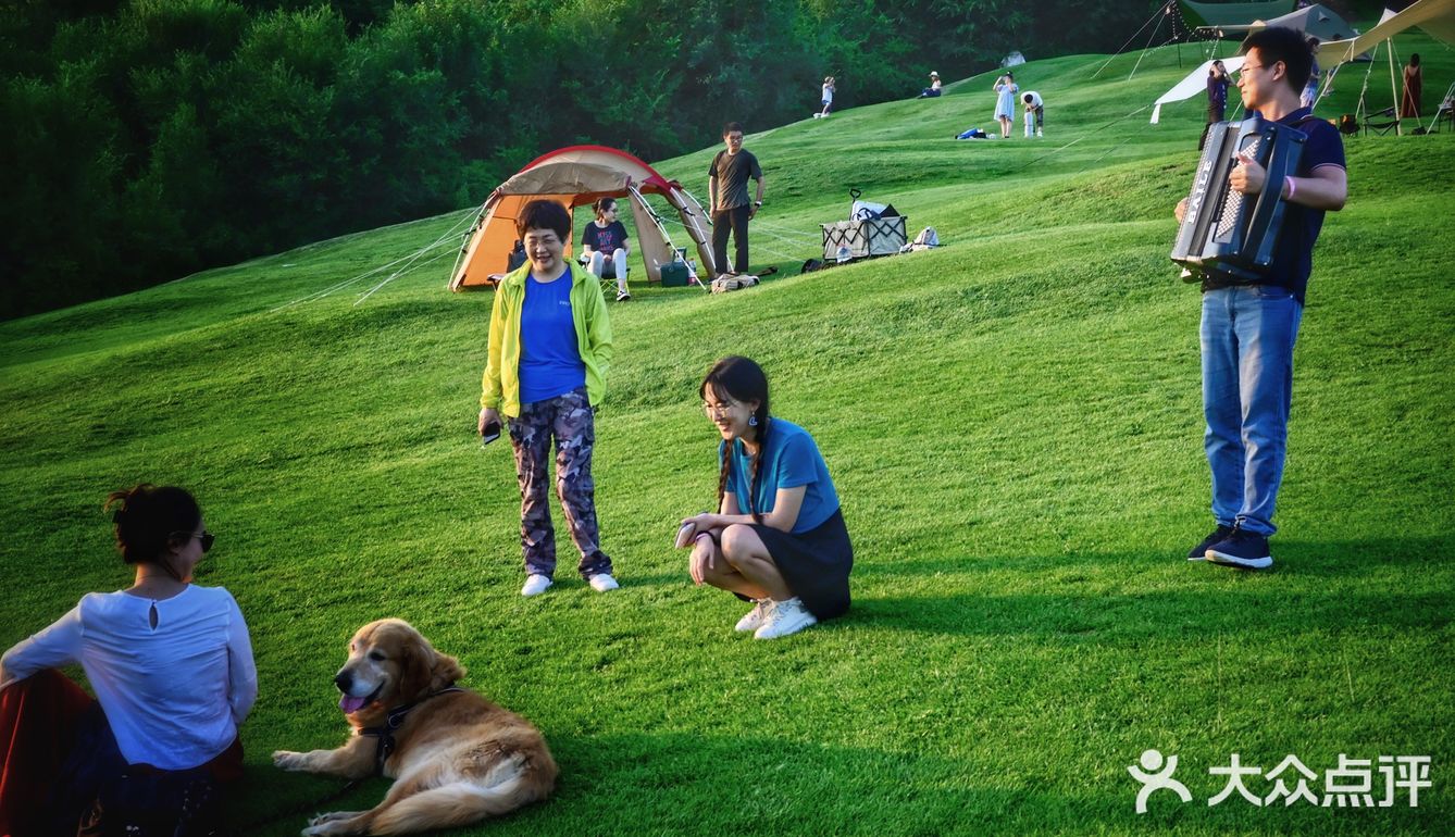 可以疯狂撒欢儿的大草坪，等你哦！