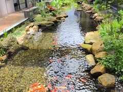 -鹅城