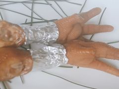 -炊江南·上海菜(国展华漕店)