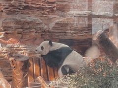 -石家庄市动物园