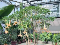 -国家植物园南园