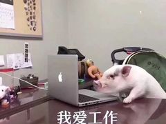 -麦当劳(天兴罗斯福店)
