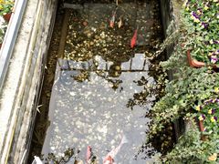 -老洋房花园饭店(绍兴路店)