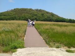 -汉景帝阳陵博物院
