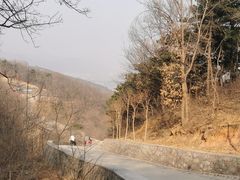 -北京西山国家森林公园