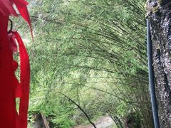 -卡定沟景区