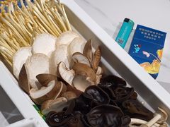 -曲氏老北京铜锅涮肉•火锅(不老街店)