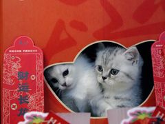 -鱼上·烤鱼(万象城店)