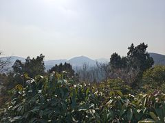 -云龙山