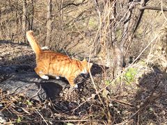 -阳台山自然风景区