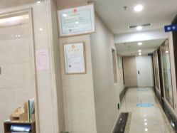 -碧莲盛·不剃发植发