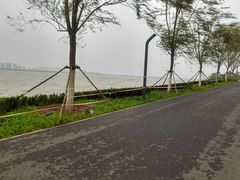 -东丽湖风景区