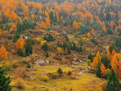 -芦芽山旅游度假区