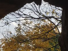 -秋霞圃