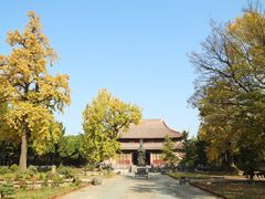 -苏州文庙(姑苏区)