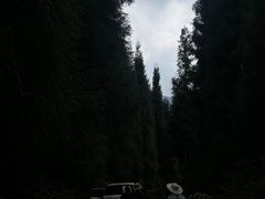 -九峰山