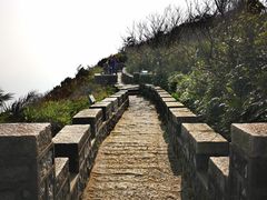 -海南铜鼓岭景区