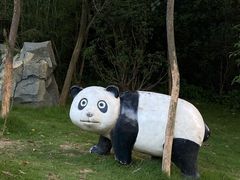 -泉州海丝野生动物世界