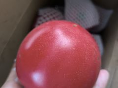 -娘心豆品(方庄店)