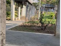 -清湖文化公园