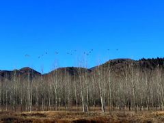 -蟠龙山长城景区