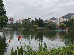 -厦门大学(思明校区)