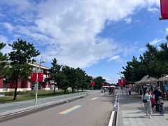 -日照海滨国家森林公园