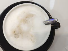 -喵园·猫主题咖啡厅·撸猫·猫咖(国贸店)