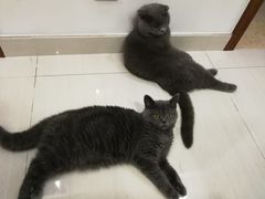 -赵记粽子(司前街店)