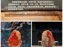 -北京大葆台遗址博物馆