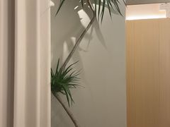 -青曼SPA·按摩·采耳·足道(龙之梦店)