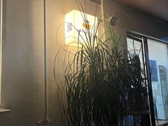 -Kekimatata 生日蛋糕·烘焙教学
