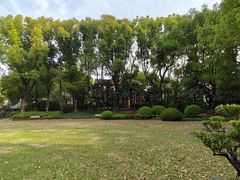 -申粤轩酒楼·三十年粤菜经典(丁香花园店)