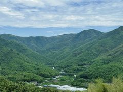 -宁波浙东大竹海景区