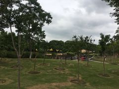 -上海长兴岛郊野公园