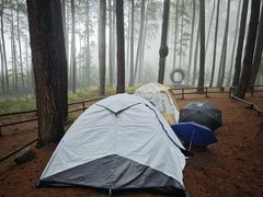-重庆睡佛山森林公园